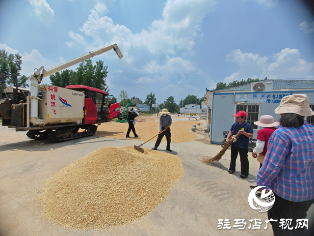 十五載追逐麥浪 助農(nóng)民顆粒歸倉 平輿縣90后網(wǎng)紅夫婦開收割機(jī)縱橫中國跨區(qū)搶收