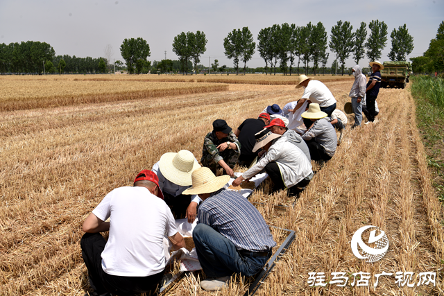 平輿縣組織開展“新型農(nóng)機(jī)設(shè)備機(jī)收大比武”活動(dòng)