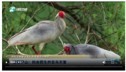 信陽羅山：和合而生的百鳥天堂