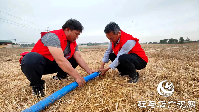 平輿縣廟灣鎮(zhèn)：田間閃耀“志愿紅” 及時(shí)澆灌保秋收