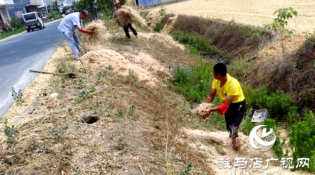 新蔡縣化莊鄉(xiāng)：秸稈清運(yùn)除隱患 筑牢禁燒“防火墻”