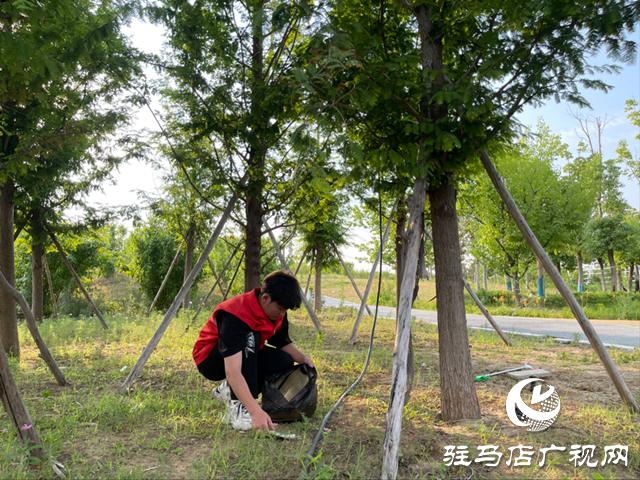 駐馬店職業(yè)技術學院組織志愿者走進人民公園清撿垃圾