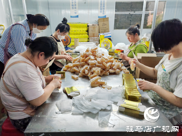 平輿縣東皇街道： 抓黨建促鄉(xiāng)村振興 為基層治理走深走實保駕護航