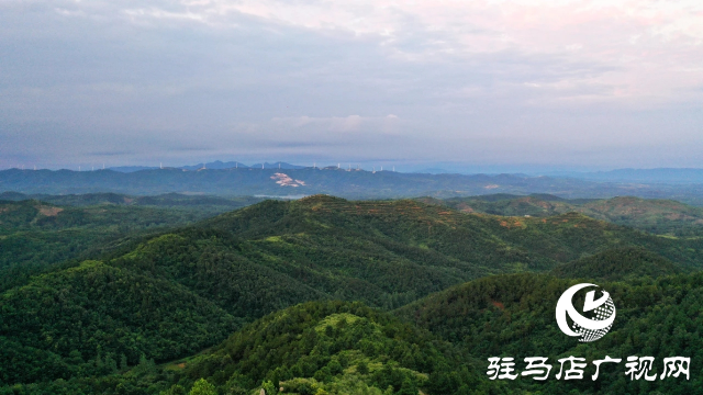 【家在天中】盤嵐朝起添秀色 美麗泌陽盤古山