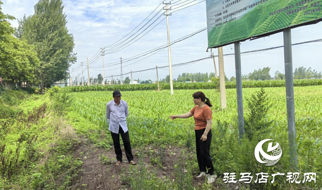 暴雨過(guò)后如何防范農(nóng)田內(nèi)澇？農(nóng)業(yè)專(zhuān)家支招