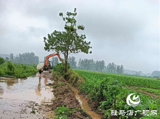 驛城區(qū)蟻蜂鎮(zhèn)：全面做好降雨應(yīng)對工作 筑牢汛期安全屏障