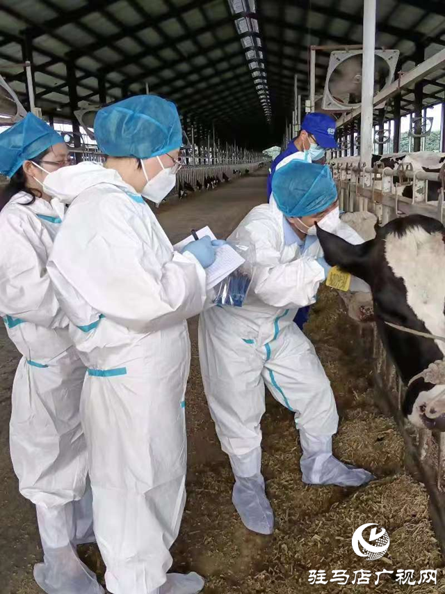 駐馬店市動物疫病防疫檢疫中心發(fā)布汛期動物疫病防控技術(shù)