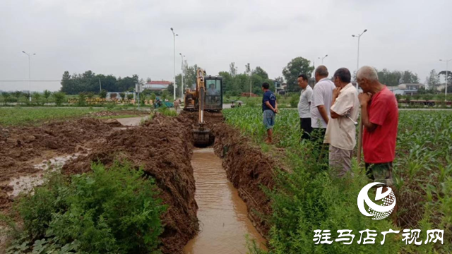 驛城區(qū)朱古洞鄉(xiāng)：全力做好農田排澇和管理 力保秋糧豐收