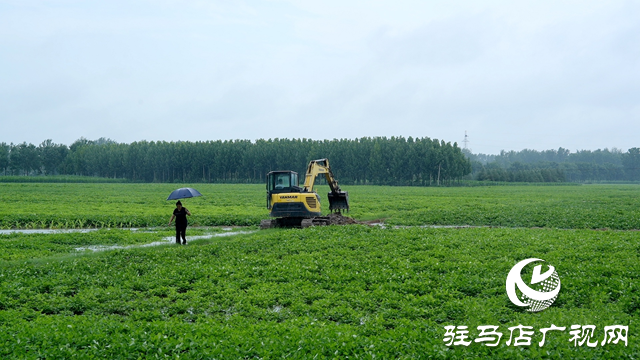 新蔡縣：聞“汛”而動(dòng) 向“雨”而行