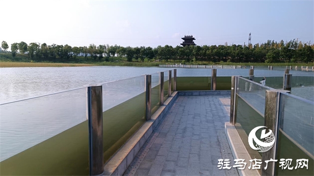 人民公園水下長(zhǎng)廊玻璃青苔已完成清洗