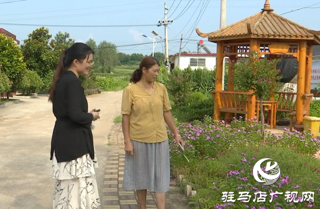 驛城區(qū)老關莊村：繪就美麗宜居新畫卷