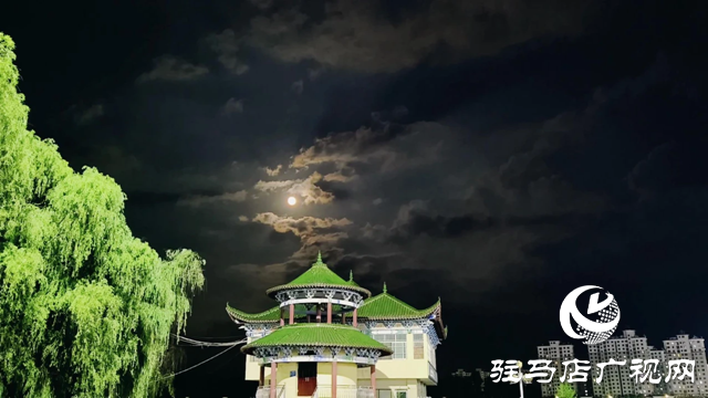 泌陽(yáng)縣泌水河公園：璀璨燈光扮靚小城夜景