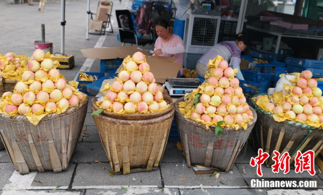 每顆40元，直送迪拜！悟空和土豪最愛，產(chǎn)自這里！