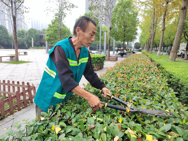 駐馬店：初秋養(yǎng)護(hù)正當(dāng)時(shí) 園林綠化煥新顏