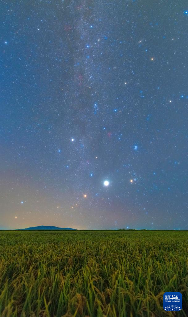 豐收田野“約會(huì)”浪漫星空