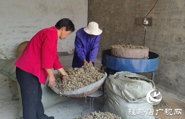 【天中光榮榜】張小紅：把小艾草做成守護(hù)群眾健康的“生命草”