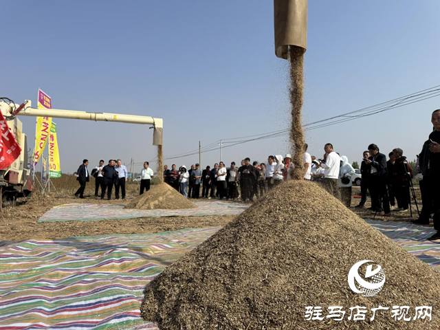 駐馬店：良種良法有機(jī)融合 芝麻機(jī)收喜獲成功