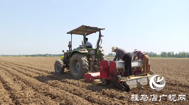 小麥播種：深耕細(xì)種 打牢夏糧生產(chǎn)基礎(chǔ)