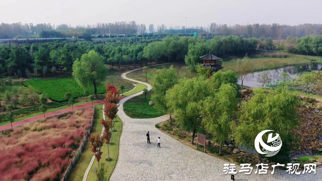 泌陽漢風公園，秋日里的粉色夢境