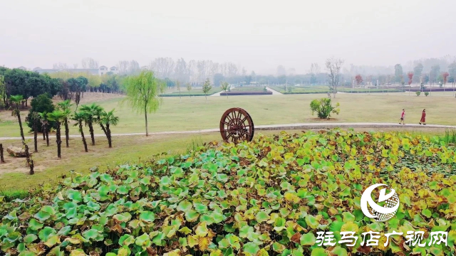 泌陽漢風公園，秋日里的粉色夢境