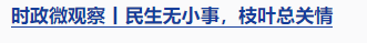 時(shí)政微觀察丨“就業(yè)是家事，更是國事”