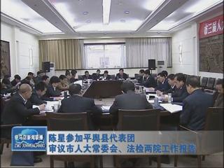 陳星參加平輿代表團(tuán)審議市人大常委會(huì)、法檢兩院工作報(bào)